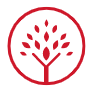 LearningTree幼儿园